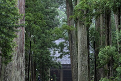 Hébergement en temple « shukubo »