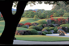 Jardins japonais et bonsaïs