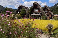 Les Alpes japonaises : Takayama, Shirakawago et Kanazawa