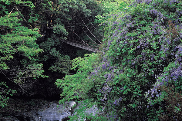 A voir (Tokushima)